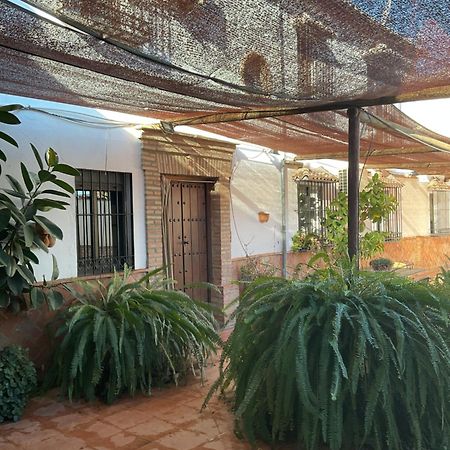 Casa Rural Antikaria Антекуера Екстериор снимка